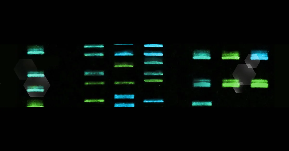 Cell Line Quality Control Facility