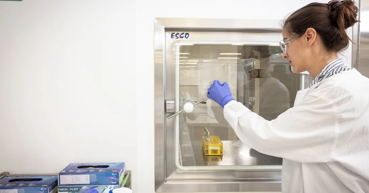 GMP Cell Therapy Manufacturing