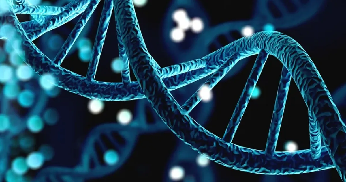 The Functional Cancer Genomics Group