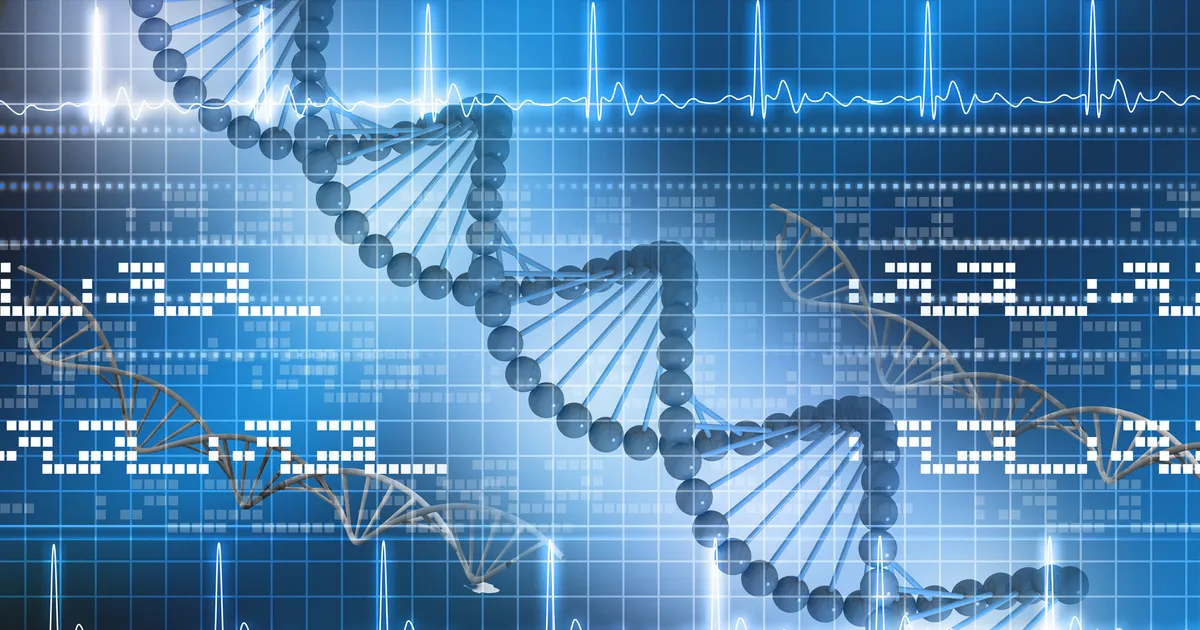 The Genome Informatics Group