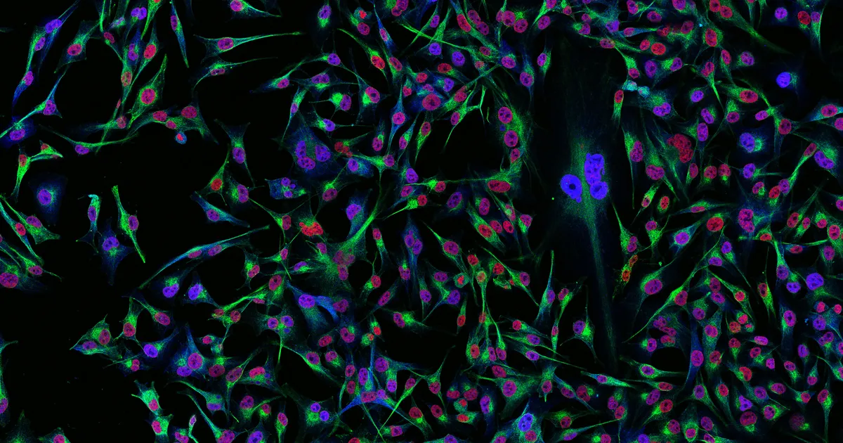 QIMR Berghofer researchers lead landmark clinical trial on how Australians can better protect themselves from skin cancer