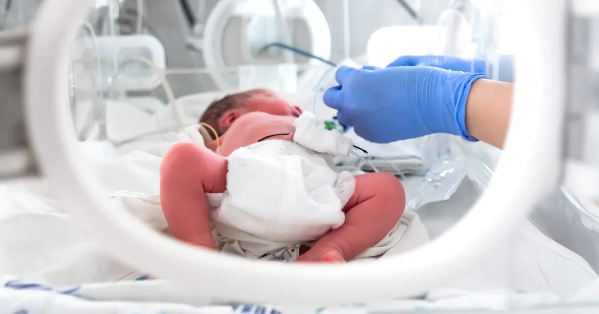 Artificial intelligence revolutionises monitoring of brain development ...