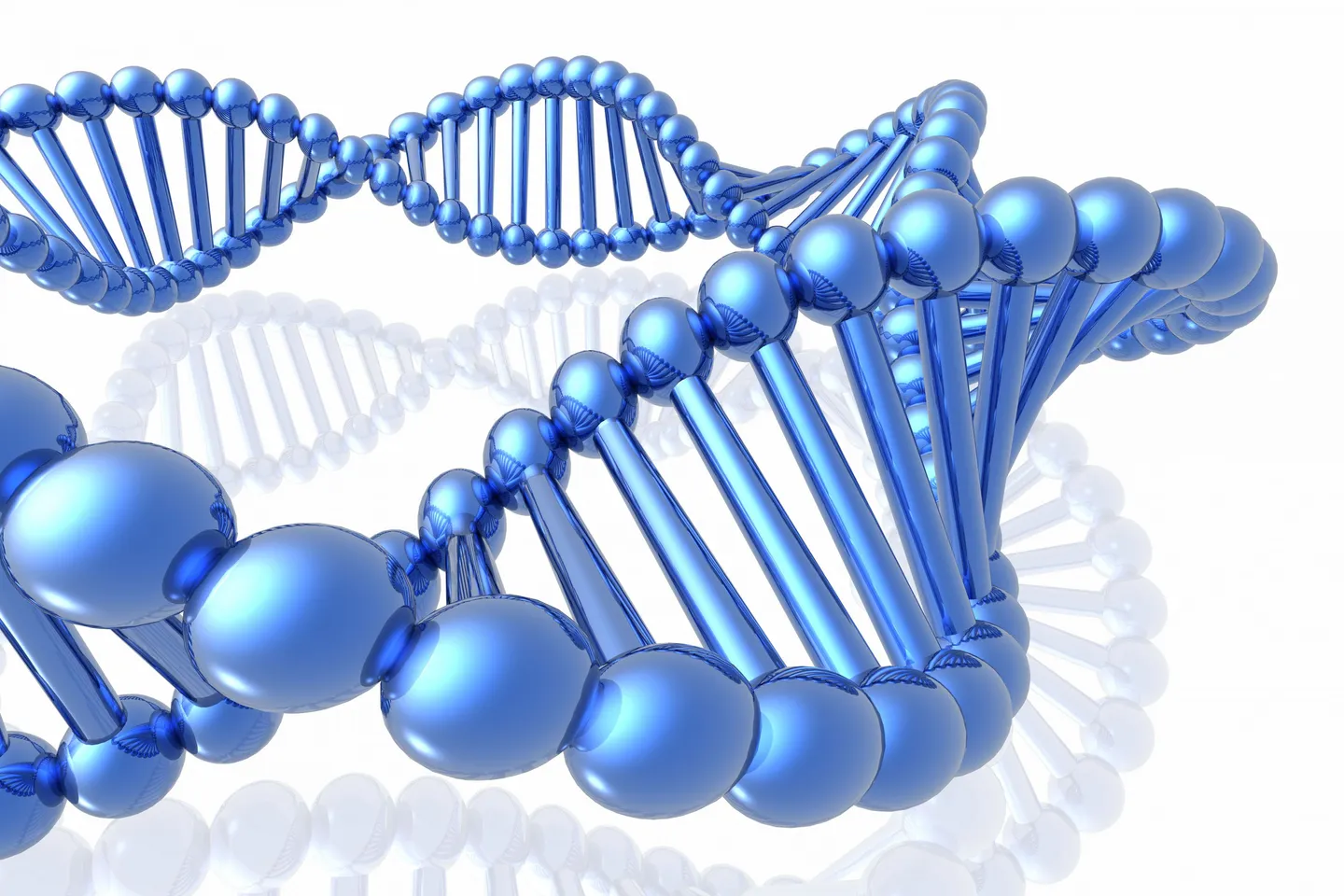 QIMR Berghofer team discovers females carry a higher genetic risk of depression