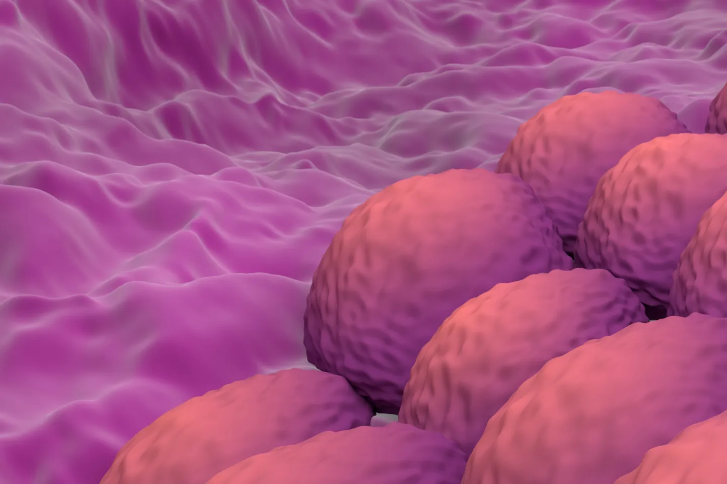 Endometrial cancer - web graphic