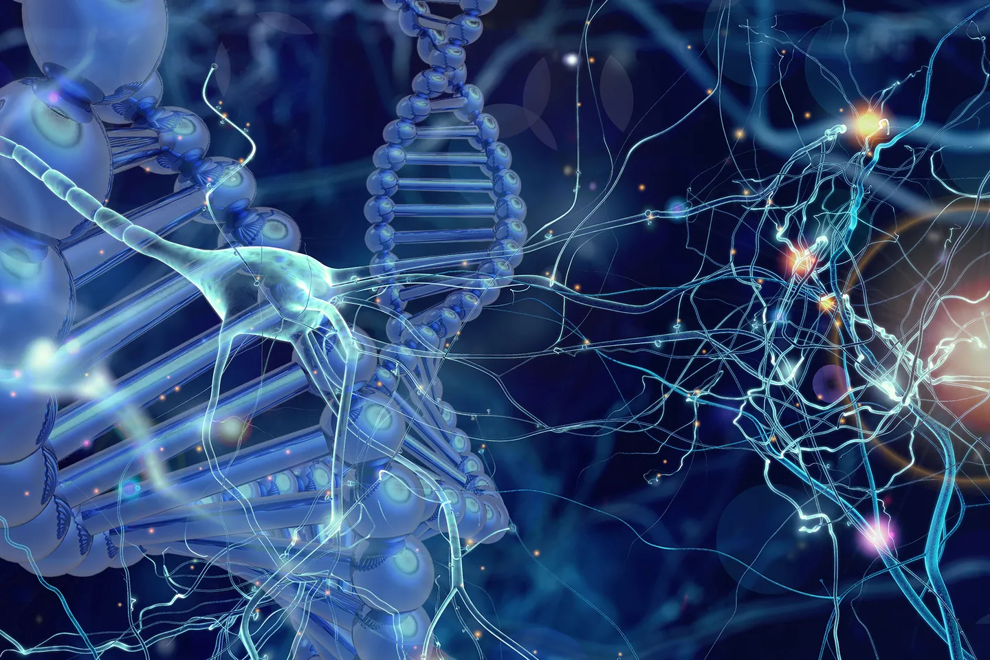 Genetic researchers reveal why some people age better than others and find new connections to Alzheimer’s disease