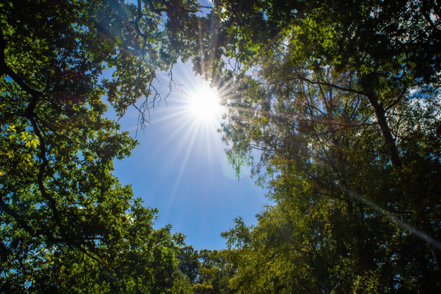 New research challenges beliefs about ‘safe’ times to be in the sun