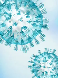 Inflammation Biology Group - COVID-19 graphic