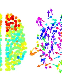 The Brain Modelling Group - web graphic