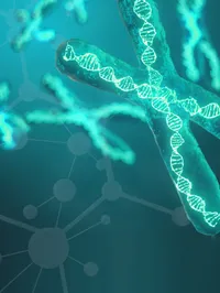 A graphic representation of DNA