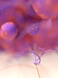Cancer Cells