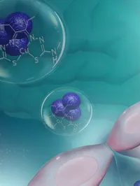 The Cellular and Molecular Neurodegeneration Laboratory - web graphic