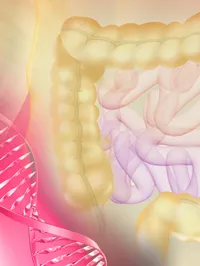 The Conjoint Gastroenterology Laboratory - web graphic