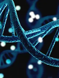 The Functional Cancer Genomics Group - web graphic