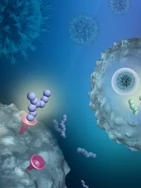 The Gene Regulation and Translational Medicine Laboratory - web graphic