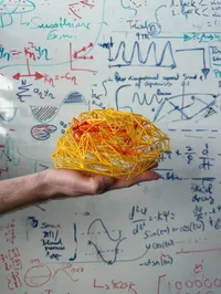 The Clinical Brain Networks Group - web graphic
