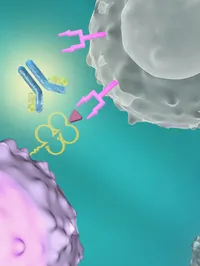 The Immunopathology Laboratory web graphic