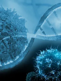 The Molecular Oncology Laboratory - web graphic