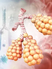 The Respiratory Immunology Laboratory - web graphic