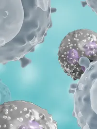 Translational and Human Immunology web graphic