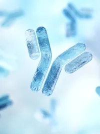 The Translational Oncology Discovery Group - web graphic