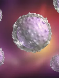 Tumour Immunology Laboratory - web graphic