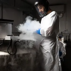 The Cryogenics Facility