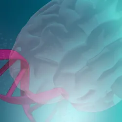 The Neurogenetics and Dementia Research Group - DNA and a brain graphic