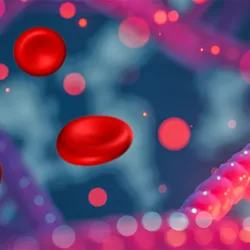 The Leukaemia Research Laboratory - web graphic