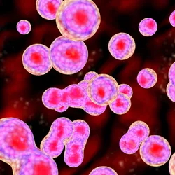 Breast cancer cells graphic