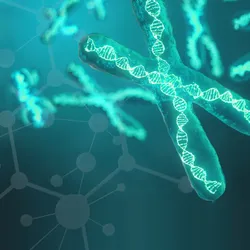 A graphic representation of DNA