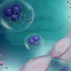 The Cellular and Molecular Neurodegeneration Laboratory - web graphic