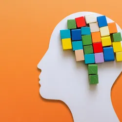 The Child and Youth Mental Health Group - web graphic