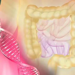 The Conjoint Gastroenterology Laboratory - web graphic