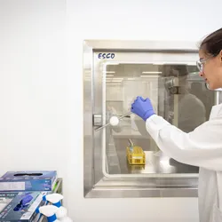 Cell Manufacturing at QIMR Berghofer