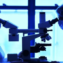 Scientists using microscopes