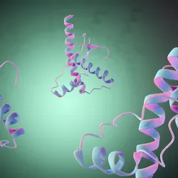The QIMR Berghofer Proteomics Facility - web graphic