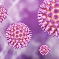 Cytomegalovirus - web graphic