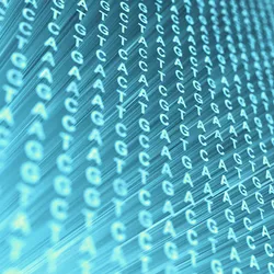 The Statistical Genetics Laboratory - web graphic