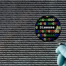 The Computational Neurogenomics Laboratory - DNA sequence