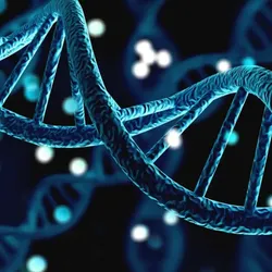 The Functional Cancer Genomics Group - web graphic