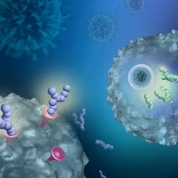 The Gene Regulation and Translational Medicine Laboratory - web graphic