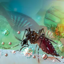 Global Health and Tropical Medicine - web graphic