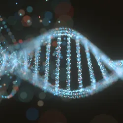 Genetic Analysis and Sequencing Facility - DNA graphic