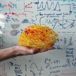 The Clinical Brain Networks Group - web graphic