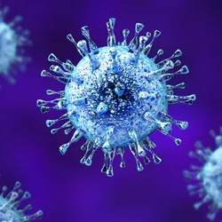 Cytomegalovirus