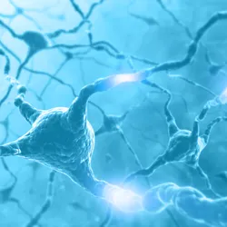 Connected neurons
