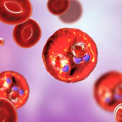Malaria - infected blood cells