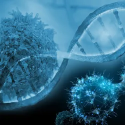 The Molecular Oncology Laboratory - web graphic