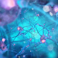 Parkinson’s Disease - web graphic