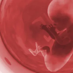 Perinatal Health - a baby in the womb